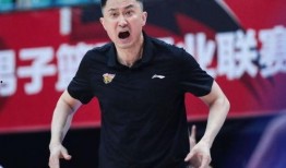 爆料杜锋姐姐事件视频下载,真相与争议